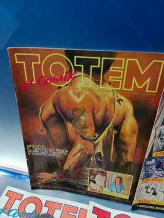 lote de 7 cómics, TOTEM EL COMIX NUEVA ÉPOCA Nº 3,5,6, 8 ,12,13 y 20 - TOUTAIN