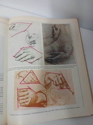 "Curso de Dibujo", escrito por Gaspare de Fiore y