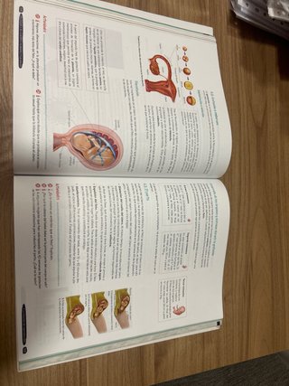 Biología y Geología 3º ESO. Libro del estudiant...