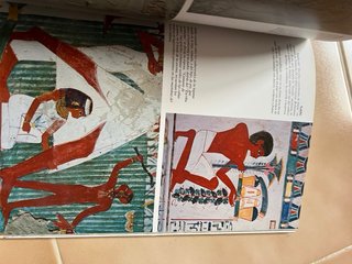 Arte e historia Egipto : 5000 años de civilización