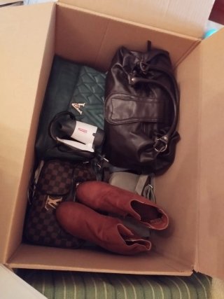 Lote Bolsos y zapatos de marca y de piel