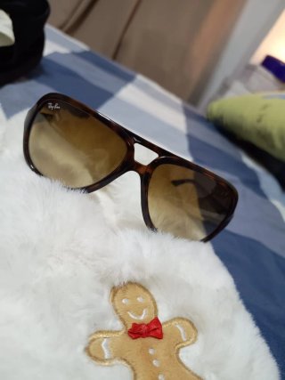Gafas de sol Ray-Ban 4162 Marrón