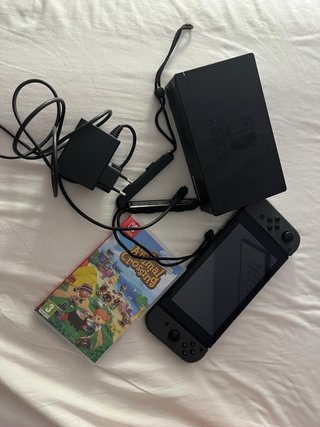 Nintendo Switch + Animal Crossing