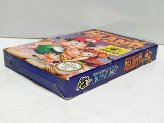 Adventure Island Classic Nintendo NES