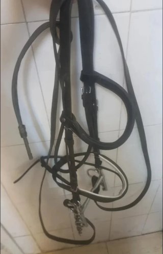 Cabezada de cuero para caballo talla Full