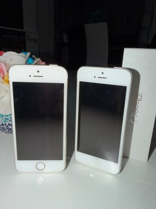 iPhone 5 y 5s (Oro y Plata)