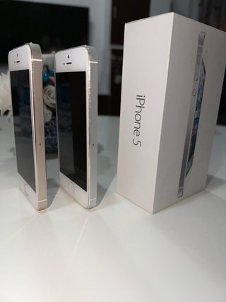 iPhone 5 y 5s (Oro y Plata)