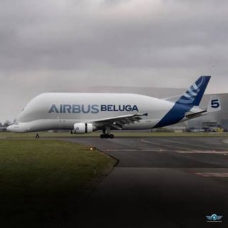 Avión AIRBUS A300-600ST BELUGA Herpa 1/500