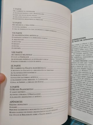 A Romanización de Galicia _ Felipe Arias Vilas. Ediciones A Nosa Terra, 1992.