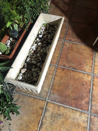 Macetas para bar o jardín económicas