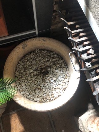 Macetas para bar o jardín económicas
