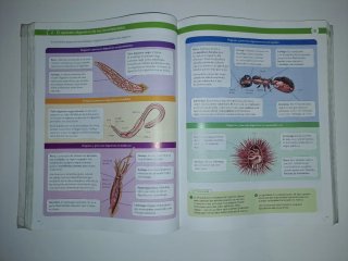 Biología, Geología y Ciencias Ambientales 1 Bac...
