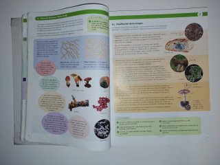 Biología, Geología y Ciencias Ambientales 1 Bac...