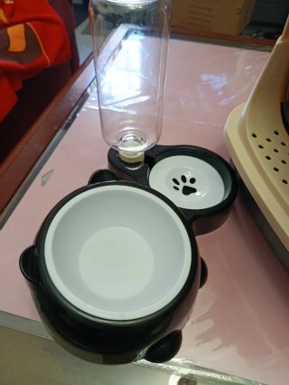 Arenero para gatos con regalo