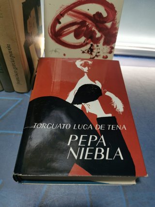 12 libros, 13 novelas clásicas