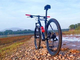 Bicicleta MTB Cannondale Trail 8 29 XL