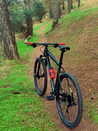 Bicicleta MTB Cannondale Trail 8 29 XL