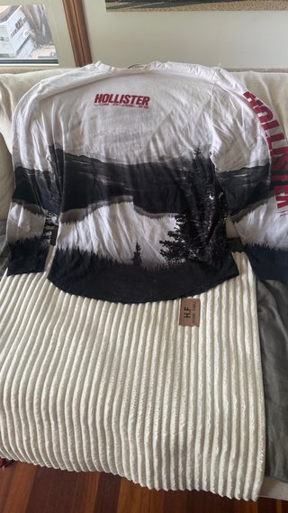 Camiseta Hollister Manga Larga Estampada