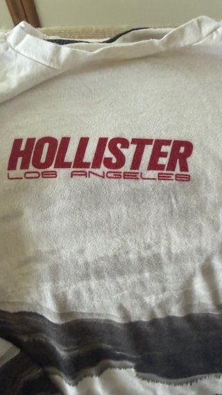 Camiseta Hollister Manga Larga Estampada