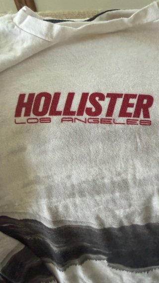 Camiseta Hollister Manga Larga Estampada