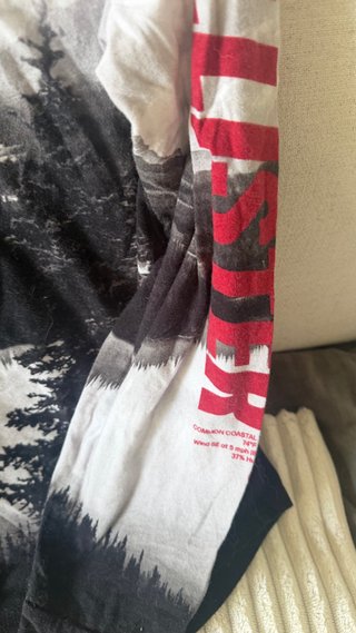 Camiseta Hollister Manga Larga Estampada