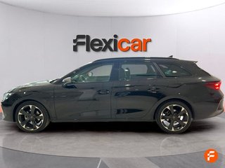 Cupra León SP 1.5 eTSI 110kW (150CV) DSG