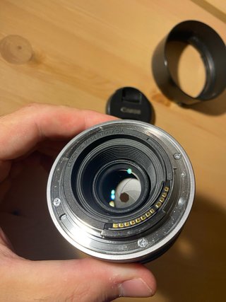 Canon RF 50mm f1.8 STM