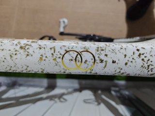 Trek Madone Talla L