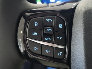 Ford Tourneo Custom 2.5 Duratec PHEV 171 L1 Titanium X eCVT