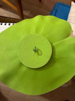Flor de Nenúfar Beige y Verde