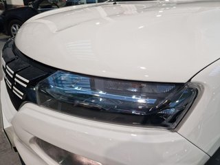 DACIA Spring Eléctrico Spring Electric Business 45 33kW