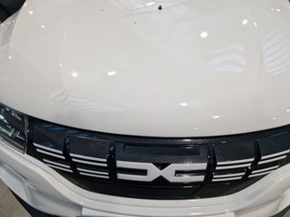DACIA Spring Eléctrico Spring Electric Business 45 33kW