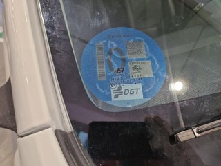 DACIA Spring Eléctrico Spring Electric Business 45 33kW