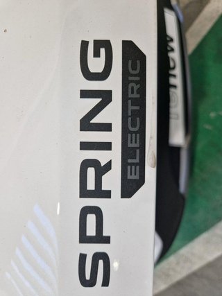 DACIA Spring Eléctrico Spring Electric Business 45 33kW