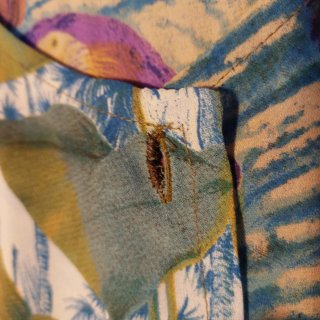 Blusa estampada