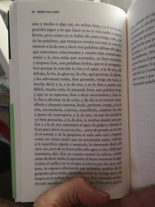 Punto de araña