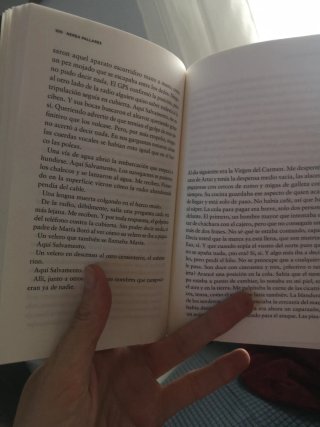 Punto de araña
