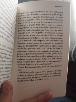 Punto de araña