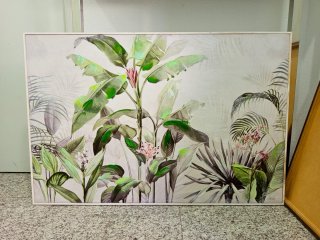 Cuadro plantas tropicales