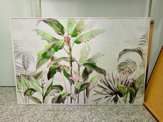 Cuadro plantas tropicales