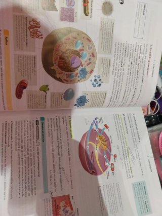 Biologia i Geologia 3 ESO LOMLOE