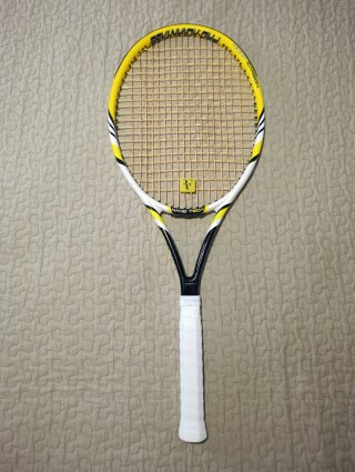 Raqueta Pro Advantage 15+ Nano Tech