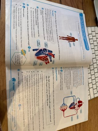 CLIL World Natural Sciences 5. Class Book