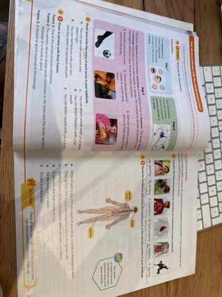 CLIL World Natural Sciences 5. Class Book