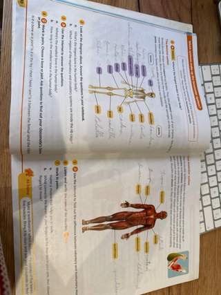 CLIL World Natural Sciences 5. Class Book