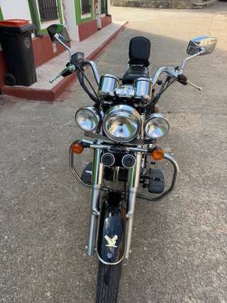 Daheylin Star Cruiser Negra
