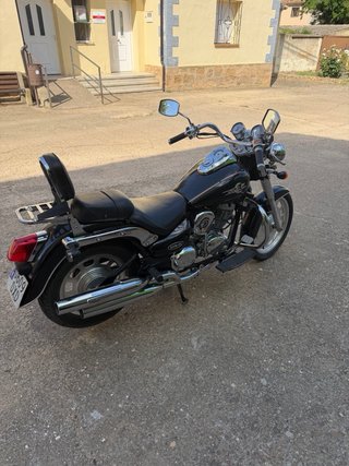 Daheylin Star Cruiser Negra