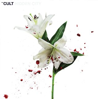 The Cult - Hidden City (2LP)