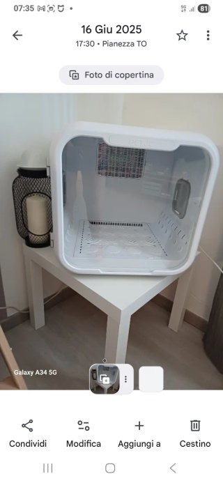 Asciugatrice per animali domestici nuovo