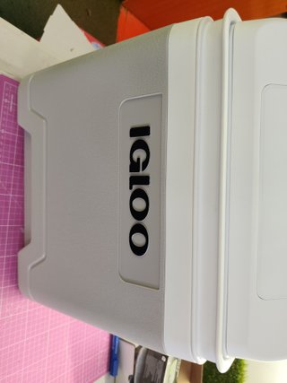 Igloo Nevera Eléctrica, 12V y 230V, 27L  MiniFrigo